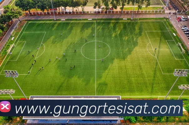 互动解说服务